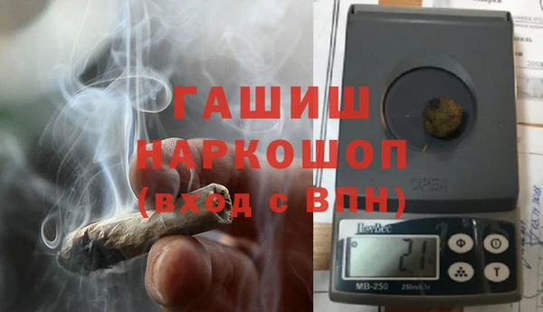 прущие грибы Михайлов