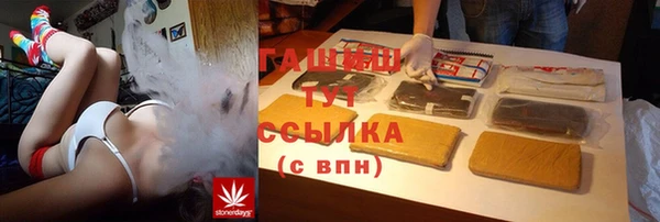 прущие грибы Михайлов