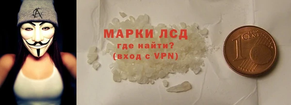 прущие грибы Михайлов