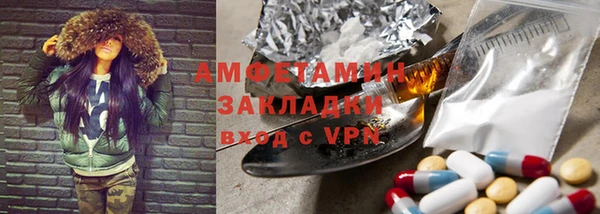 прущие грибы Михайлов