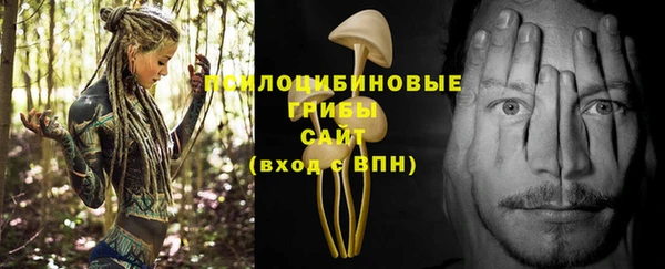 ECSTASY Алагир
