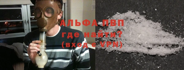 прущие грибы Михайлов