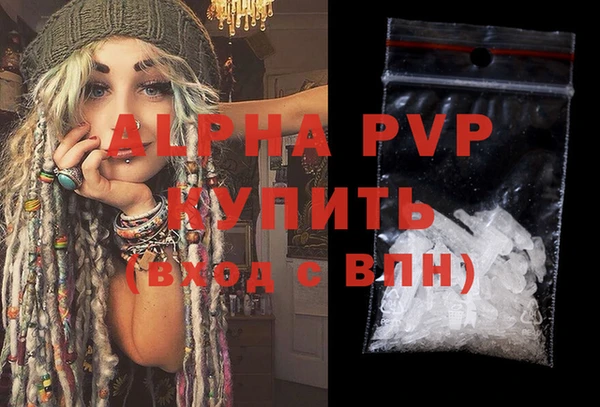 прущие грибы Михайлов