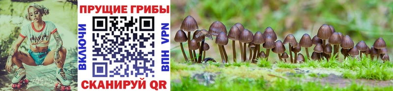 Галлюциногенные грибы мицелий  сколько стоит  Голицыно 