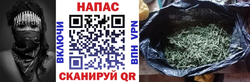 Шишки марихуана планчик  Голицыно 
